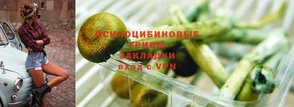 гидра Рославль