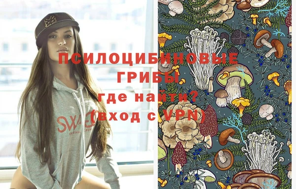 дмт Абинск