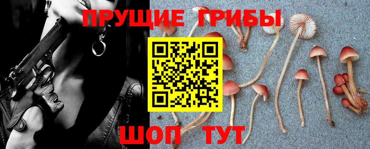 Галлюциногенные грибы прущие грибы Чита