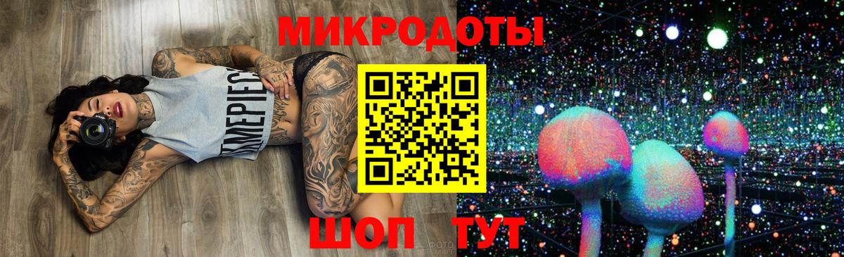 Чита  Псилоцибиновые грибы мицелий  Вход с VPN 